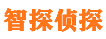 调兵山外遇调查取证